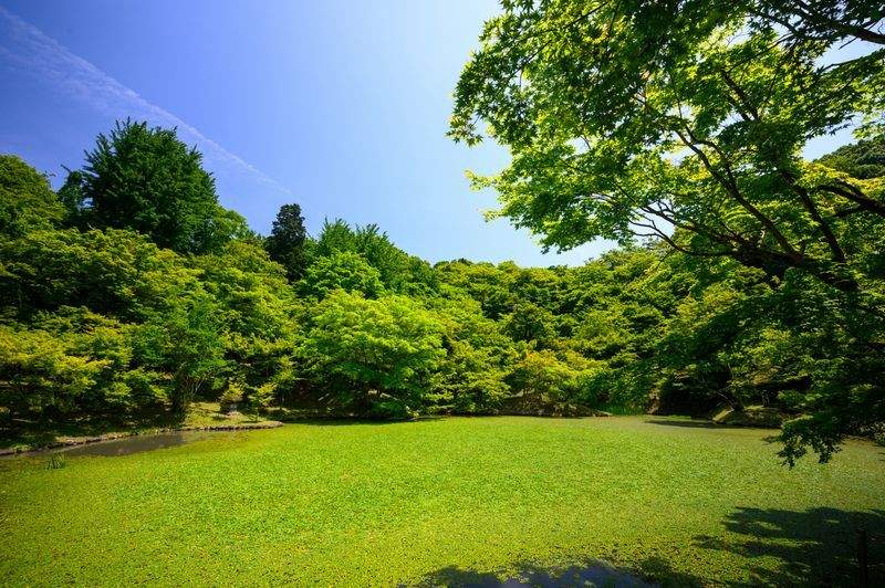 Jardins Harmonie Paysage
