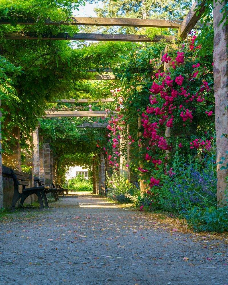 Jardins Harmonie Paysage 14