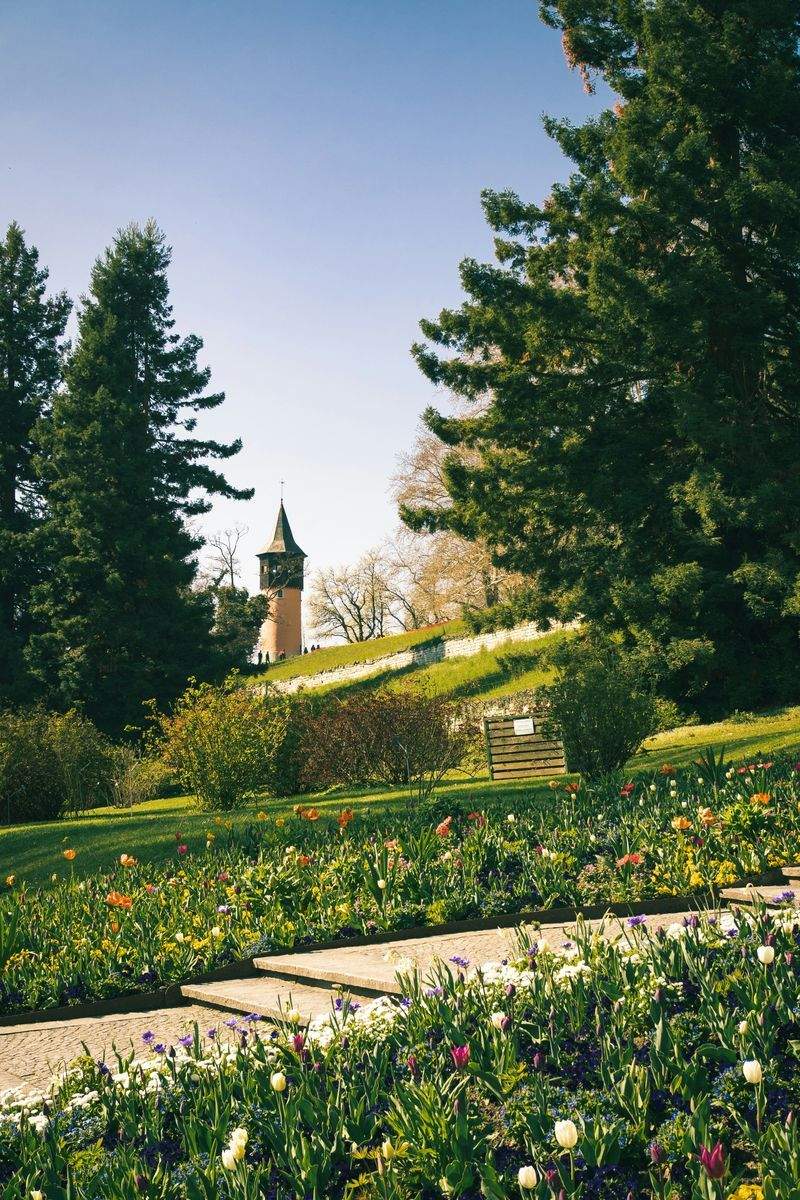 Jardins Harmonie Paysage 2